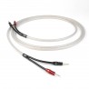 Chord Clearway X, 2x3m z wtykami ChordOhmic, kabel głośnikowy konfekcjonowany (para)