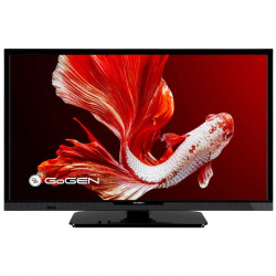 GoGEN TVH24P452T Telewizor 24", DVB-T2, HEVC H.265