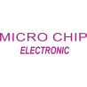 Micro Chip Electronic